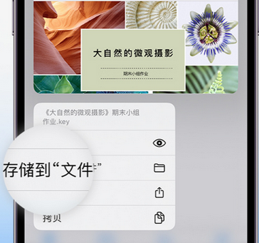 忻州apple维修中心分享iPhone文件应用中存储和找到下载文件