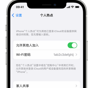 忻州apple服务站点分享iPhone上个人热点丢失了怎么办 