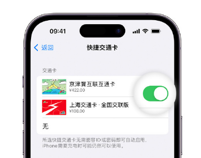 忻州apple维修点分享iPhone上更换Apple Pay快捷交通卡手绘卡面 