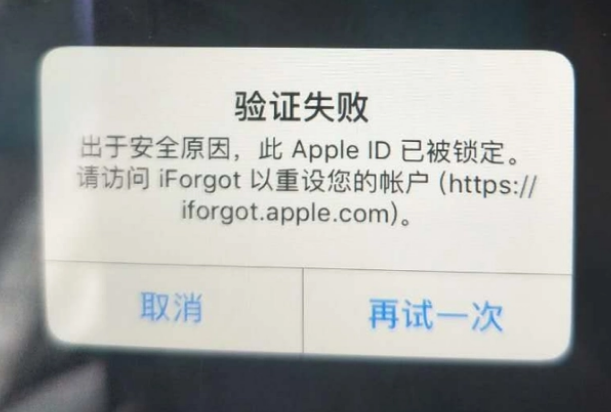 忻州iPhone维修分享iPhone上正常登录或使用AppleID怎么办 