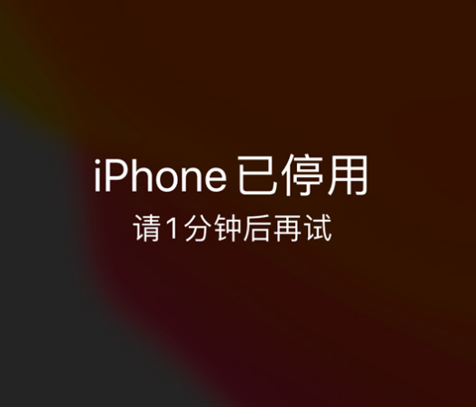 忻州苹果手机维修分享:iPhone 显示“不可用”或“已停用”怎么办？还能保留数据吗？ 