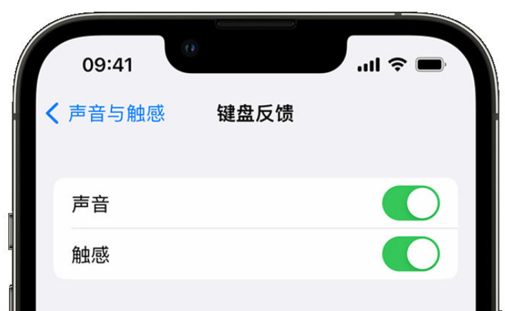 忻州苹果手机维修分享iPhone 14触感键盘使用方法 