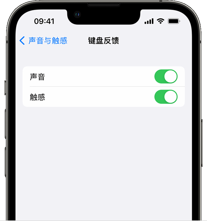 忻州苹果14维修店分享如何在 iPhone 14 机型中使用触感键盘 