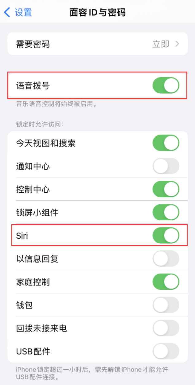 忻州苹果维修网点分享不解锁 iPhone 的情况下通过 Siri 拨打电话的方法 