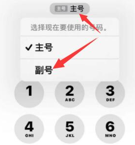 忻州苹果14维修店分享iPhone 14 Pro Max使用副卡打电话的方法 