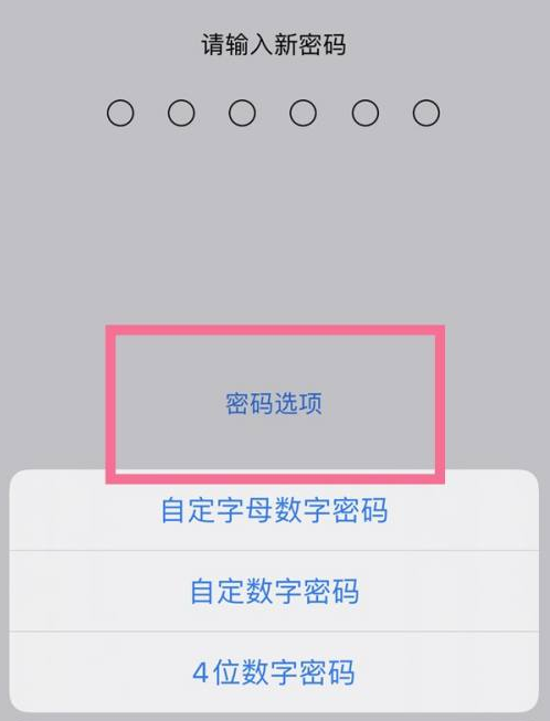 忻州苹果14维修分享iPhone 14plus设置密码的方法 