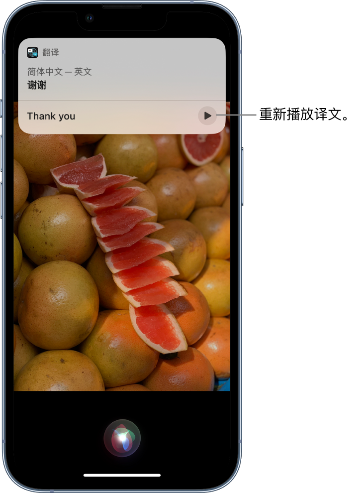 忻州苹果14维修分享 iPhone 14 机型中使用 Siri：了解 Siri 能帮你做什么 