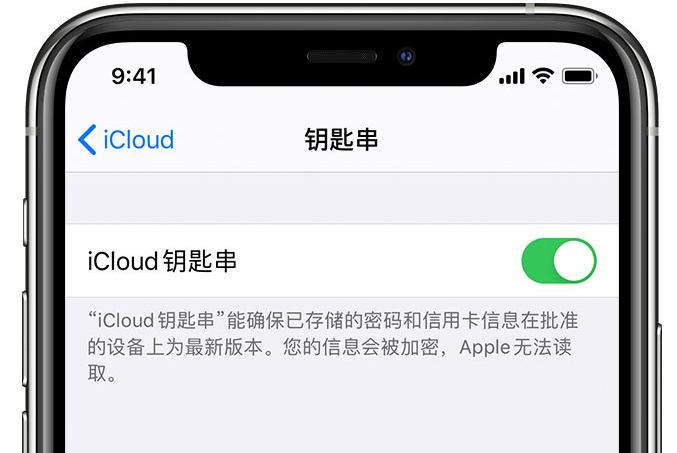 忻州苹果手机维修分享在 iPhone 上开启 iCloud 钥匙串之后会储存哪些信息 